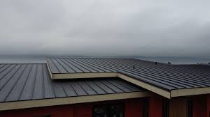 Best Cold Roofs  in Leilani Estates, HI